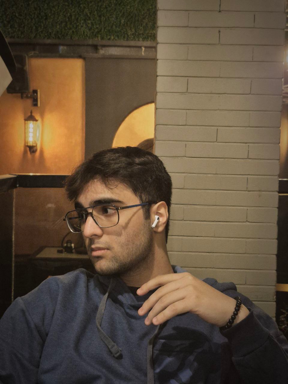 ایلیا عربشاهی